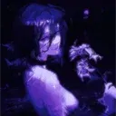 Zeint avatar